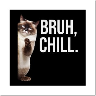 Funny Cat Meme Bruh Chill Posters and Art